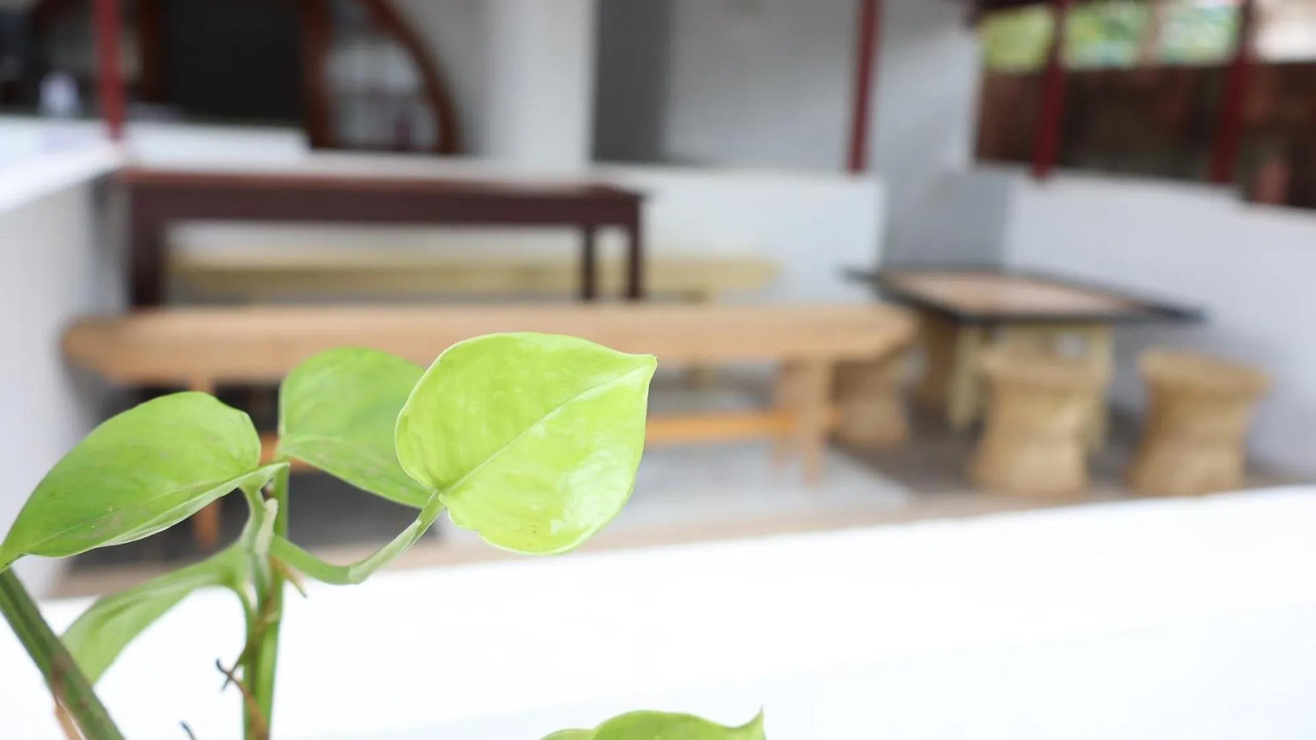 Homestay Bougainvillea Haven Varkala